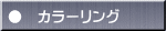 ●　カラーリング